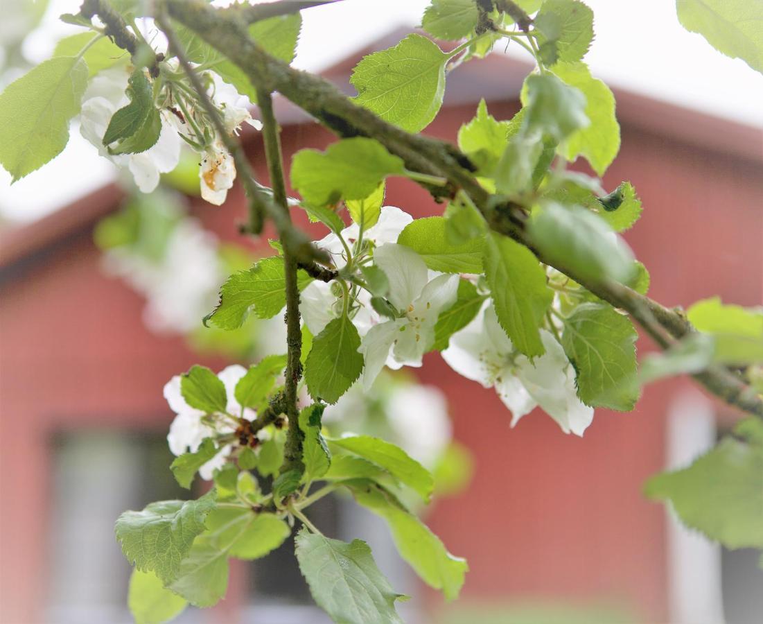 Villa Maria Garden Cottages, Helsingborg Luaran gambar